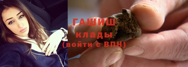 индика Балахна