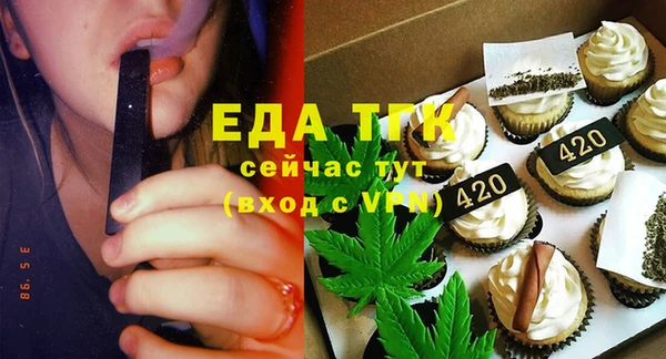 индика Балахна