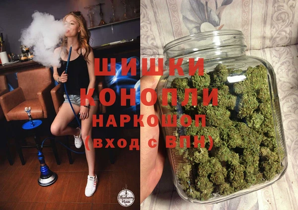 индика Балахна