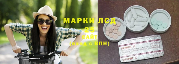 индика Балахна